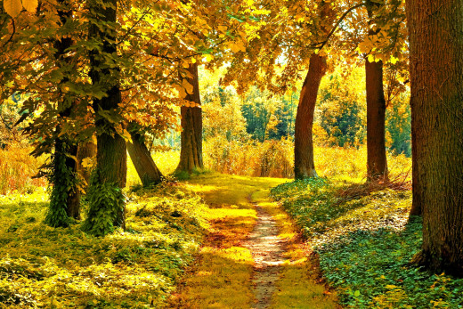 686866 (a): :1920x1280